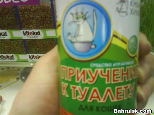 что делать если кот насрал на стол