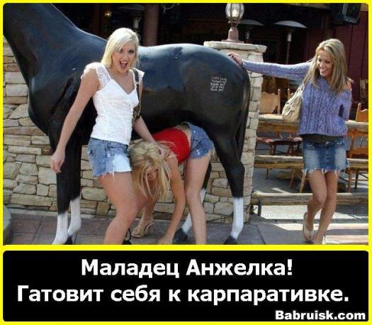 бык трахает девку в очко.