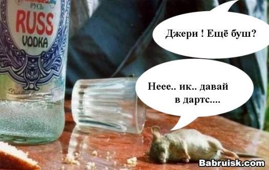 эксперементы на жэфтонэ