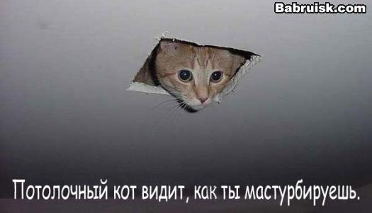мастурбатор