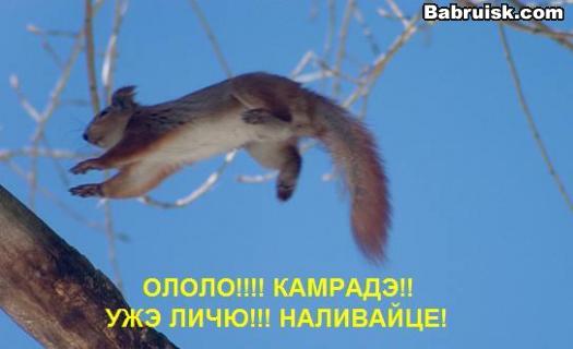 летяга