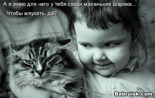 котовьи яйца