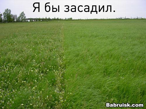 поле