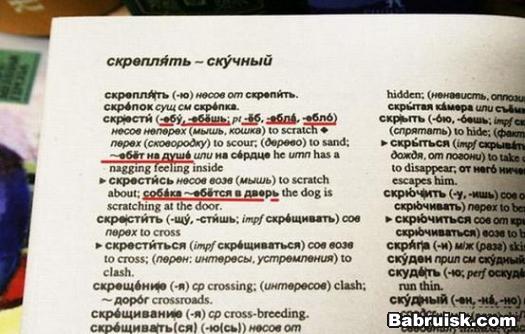 учите