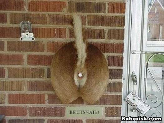 Соседи