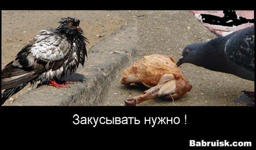закусывай!