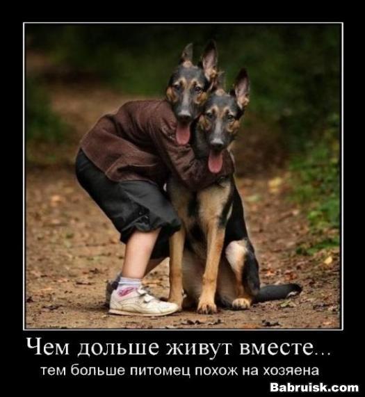 сиамские близнецы
