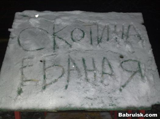 скотина