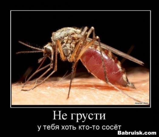 отсос, минет, глубокое горло