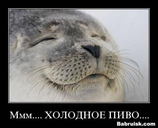 холодное пиво