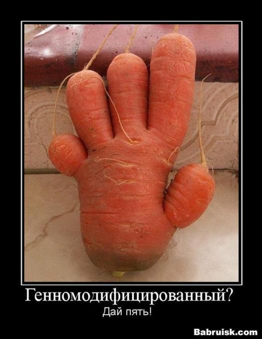 необычная морковка