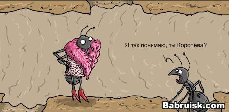 наташа королева