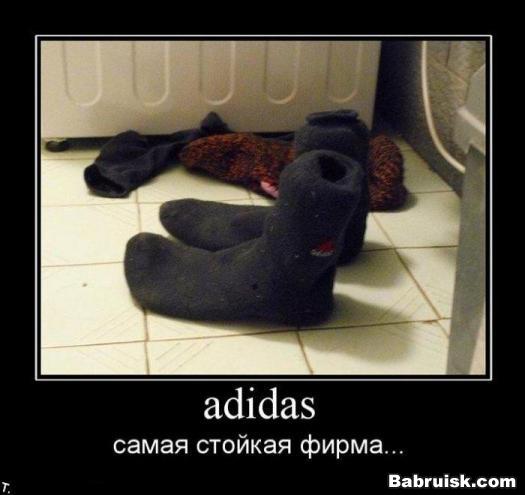 адидас, епт!