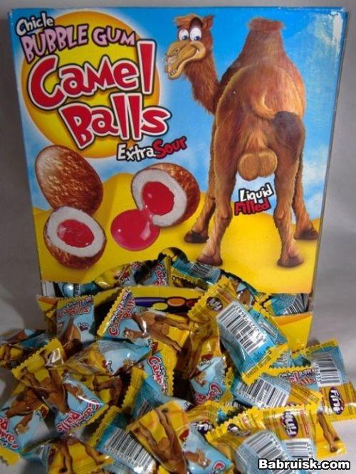 Camel