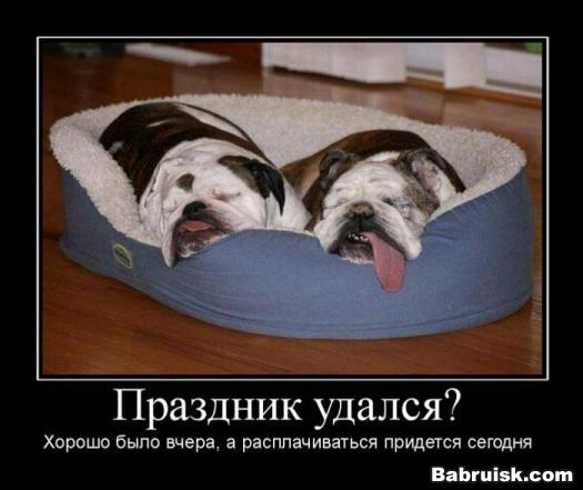 похмелье