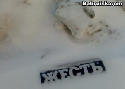 жесть