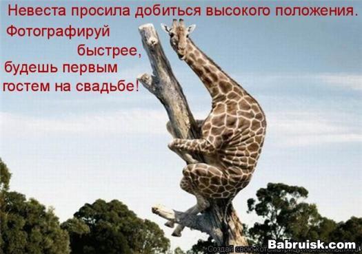 охуевший жираф