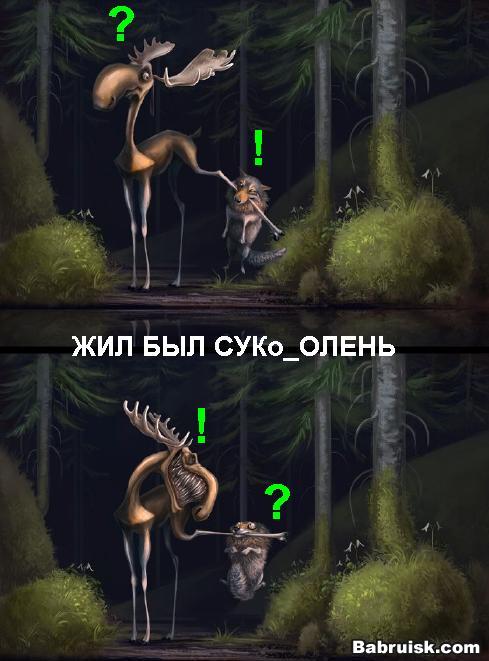 олень и волк