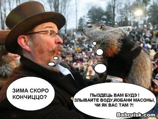 сурок фил - зоофил
