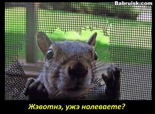 алкаши