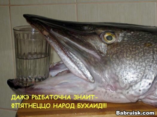 бухло