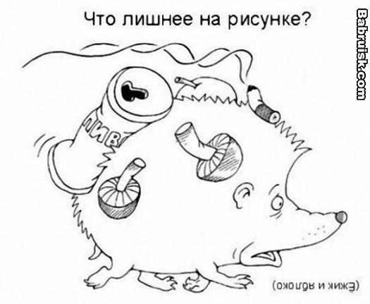 ежик в жопе ножик