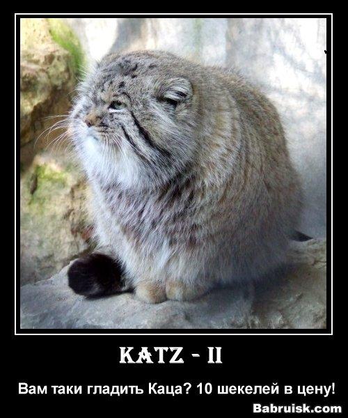 manul
