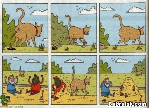 негры