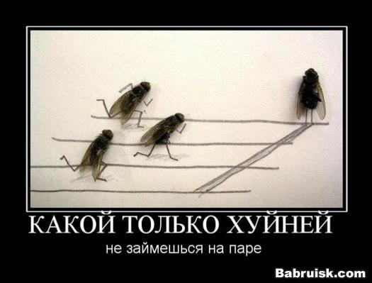 мухи
