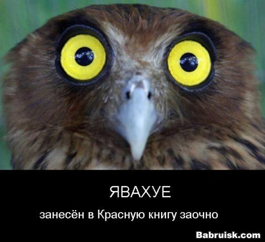 животные красной книги