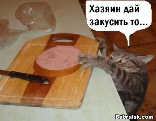 пьяное быдло