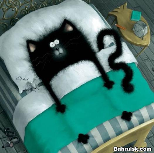 кот в постели