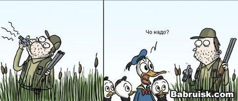 утиные истории