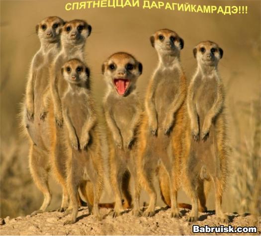 глоты