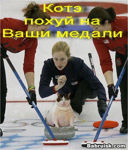 Кёрлинговый кот