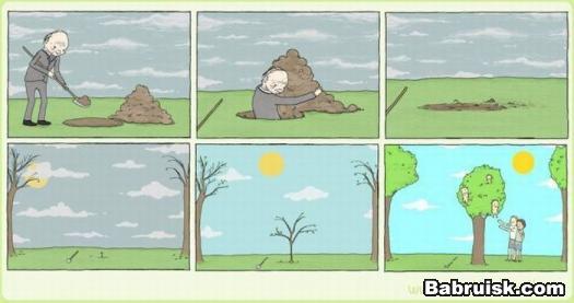 как посадить дерево