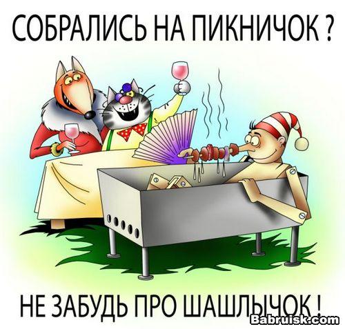 пикник в подмосковье