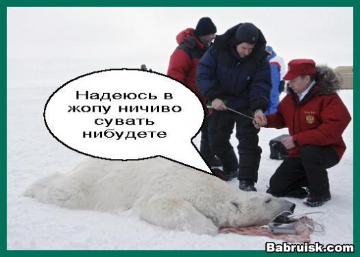 путин погладил белого медведя