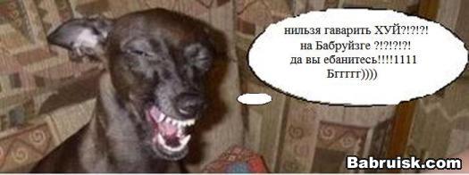 фима собак