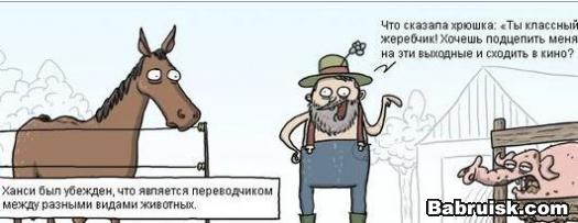 секс со свиньей