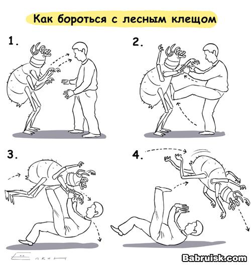 клещ. профилактика энцефалита