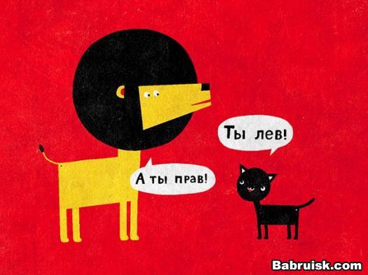 лев и кот