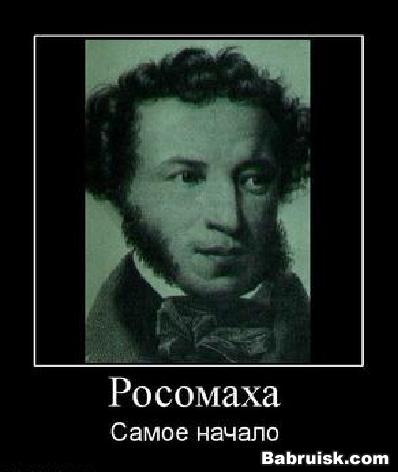 пушкин, сукин сын