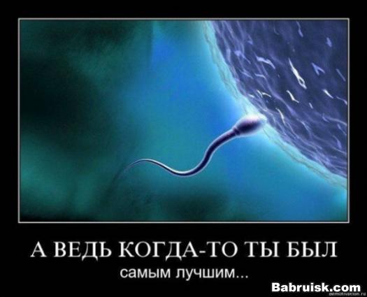 сперма