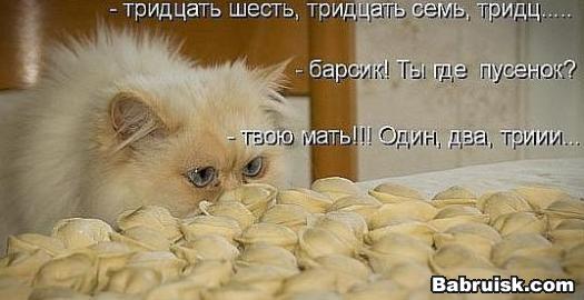 как приготовить пельмени