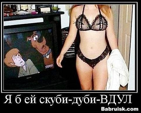 секс с животными по телевизору
