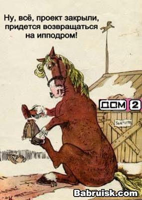 собчак и дом-2