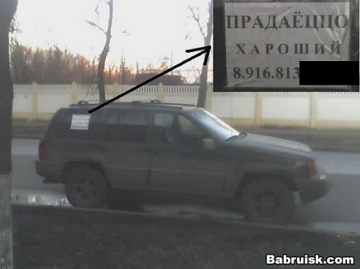 продам кукусик