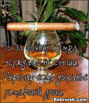 выпивка с утра