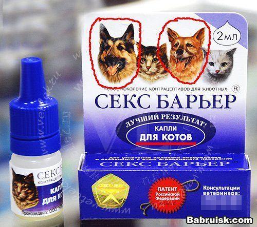 контрацептивы для животных